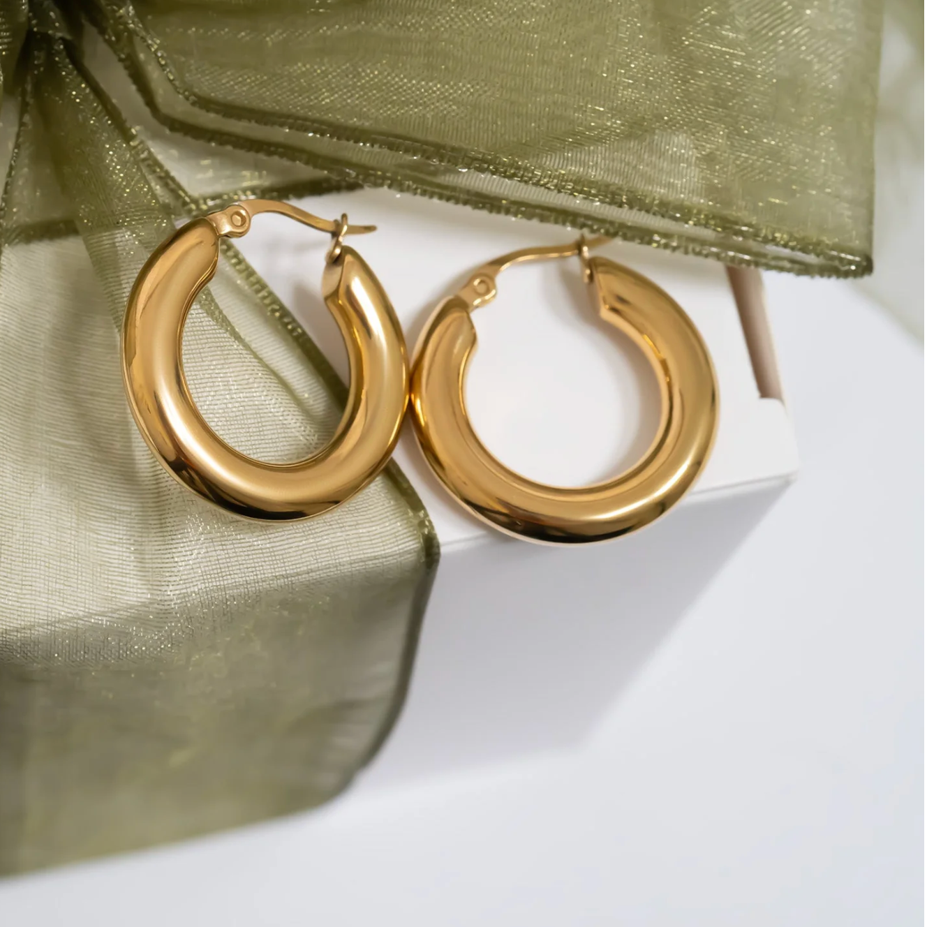 Chunky Hoop Earrings