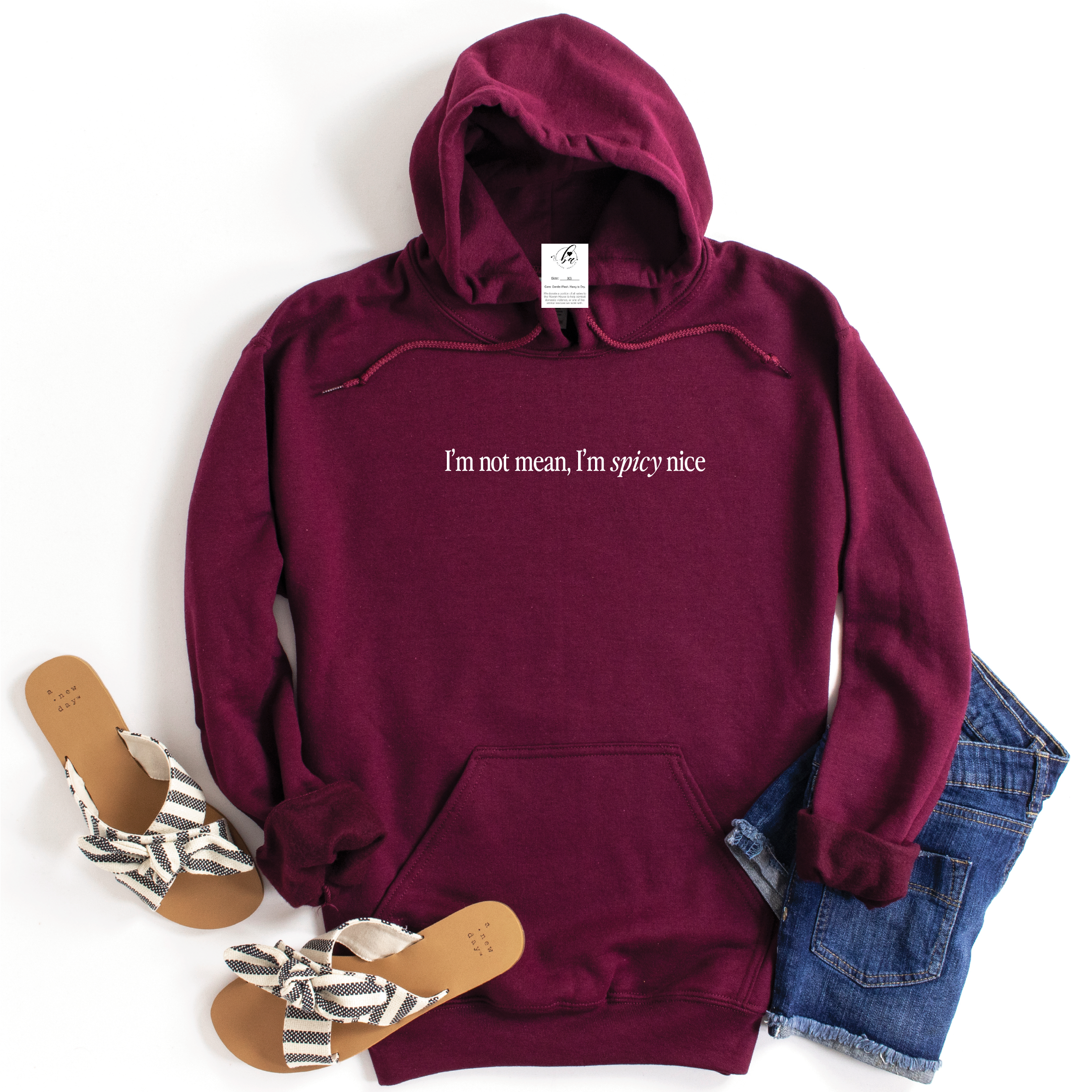 I'm not mean, I'm spicy nice Cozy HOODIE