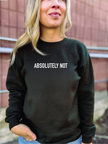 Absolutely Not Cozy Crew Neck Sweater