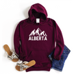 Alberta {NEW} Cozy Hoodie