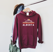 Alberta {VINTAGE} Cozy Hoodie